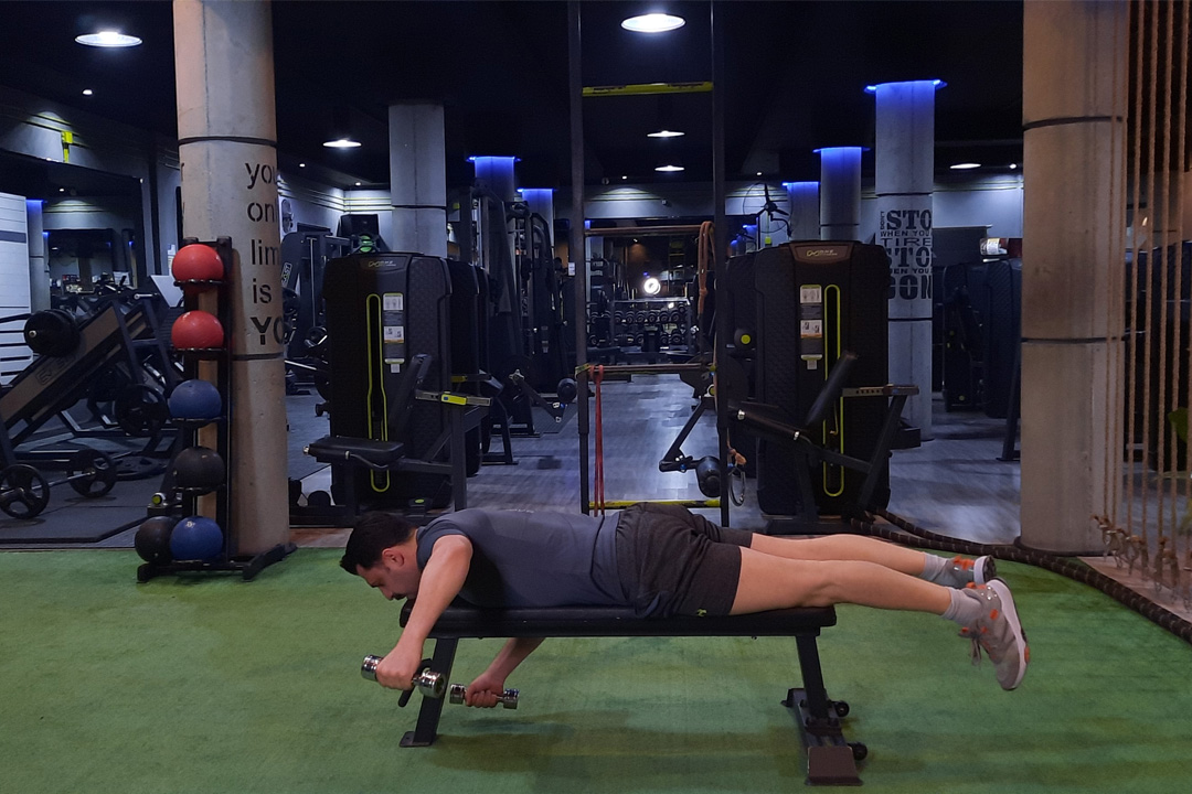 سرشانه پشت دمبل نشر خم تک خوابیده