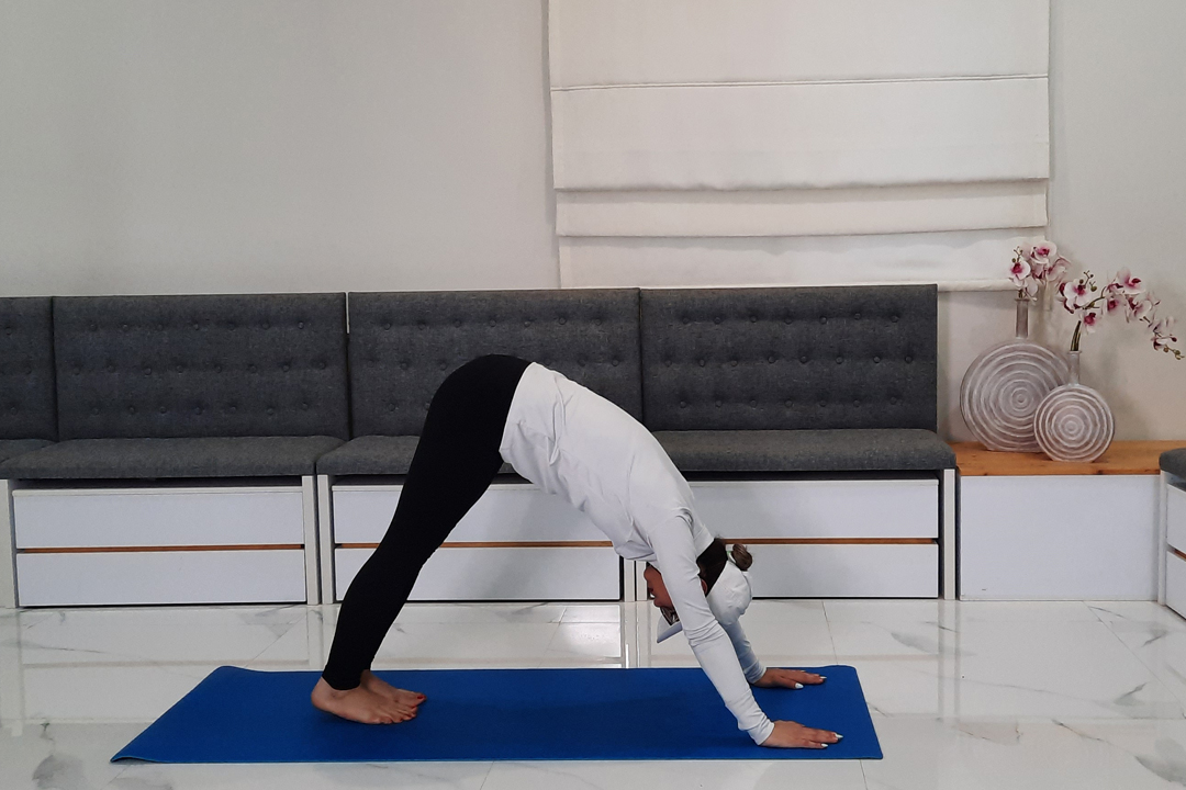 حالت کشش سگ رو به پایین