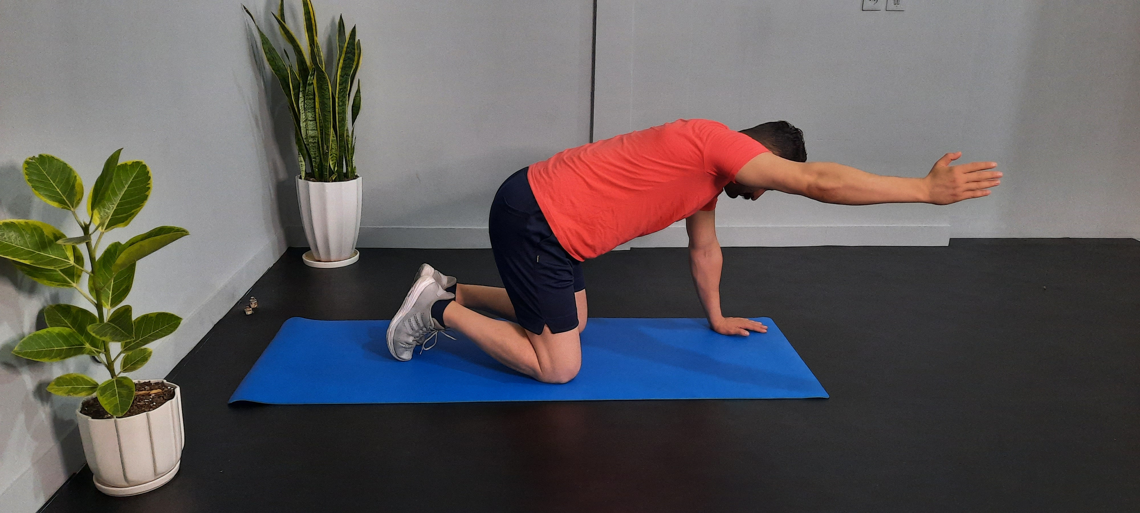 حرکت شش جهته بازو چهار دست و پا